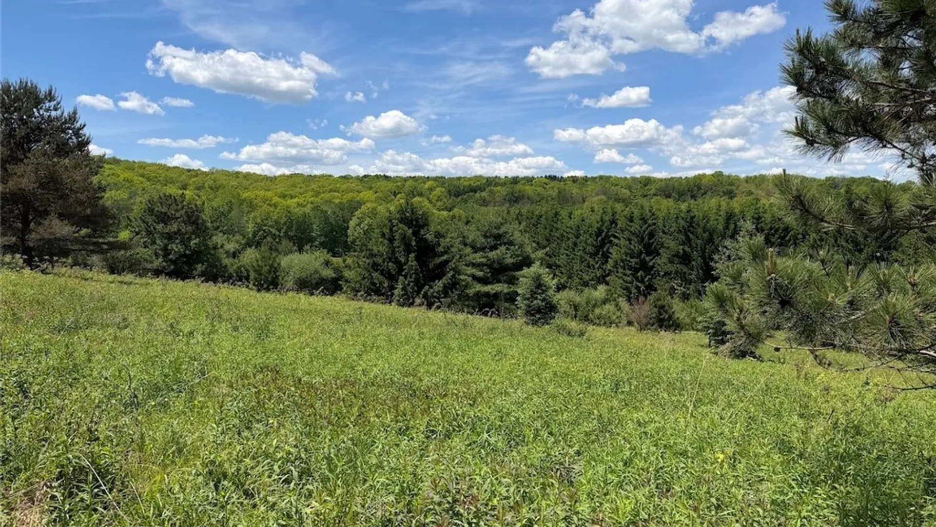 Property at N Branch Road, Friendship, NY 14739 14