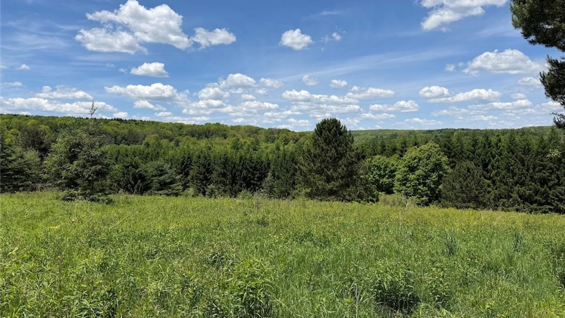 Property at N Branch Road, Friendship, NY 14739 15