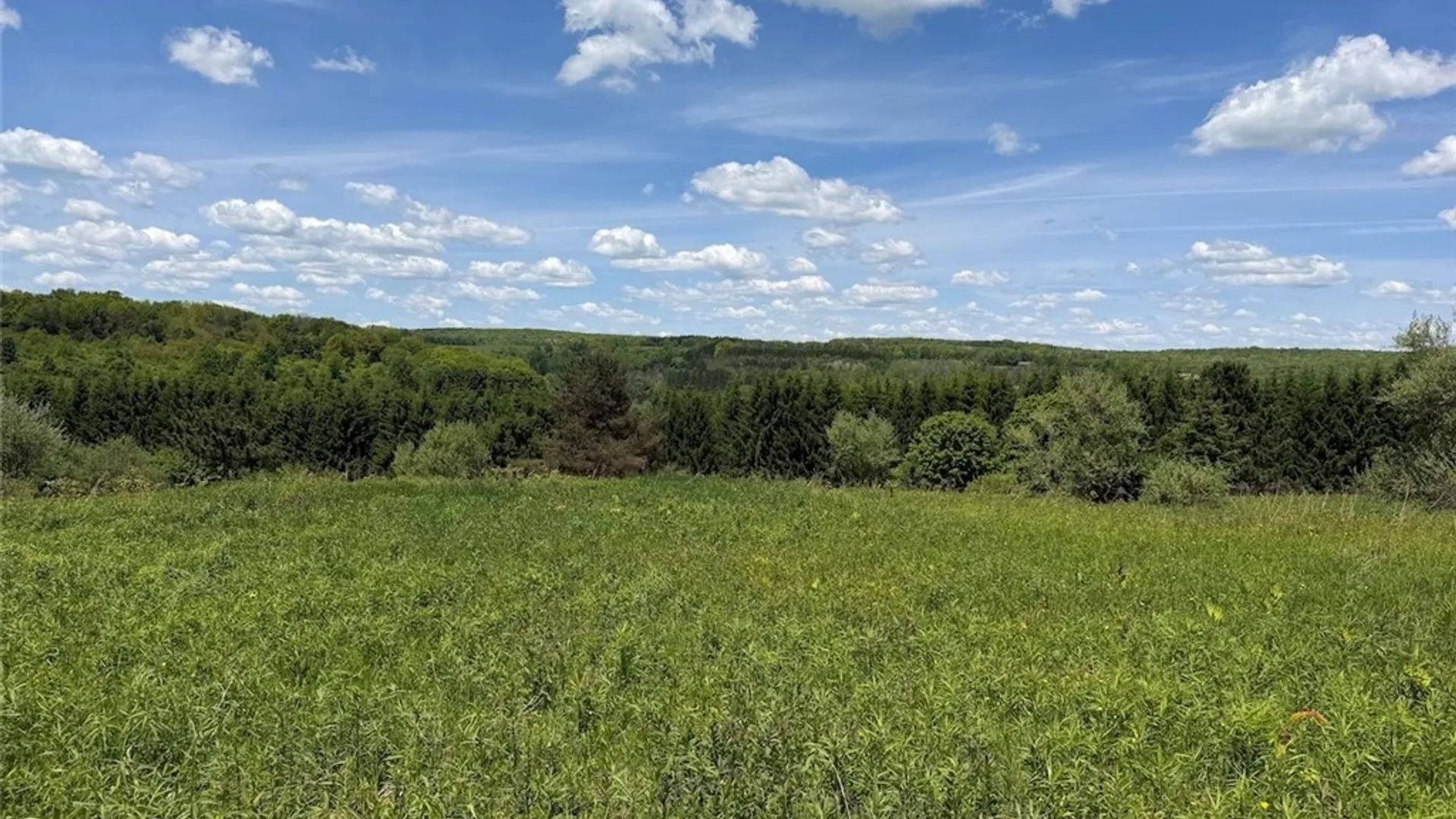 Property at N Branch Road, Friendship, NY 14739 17
