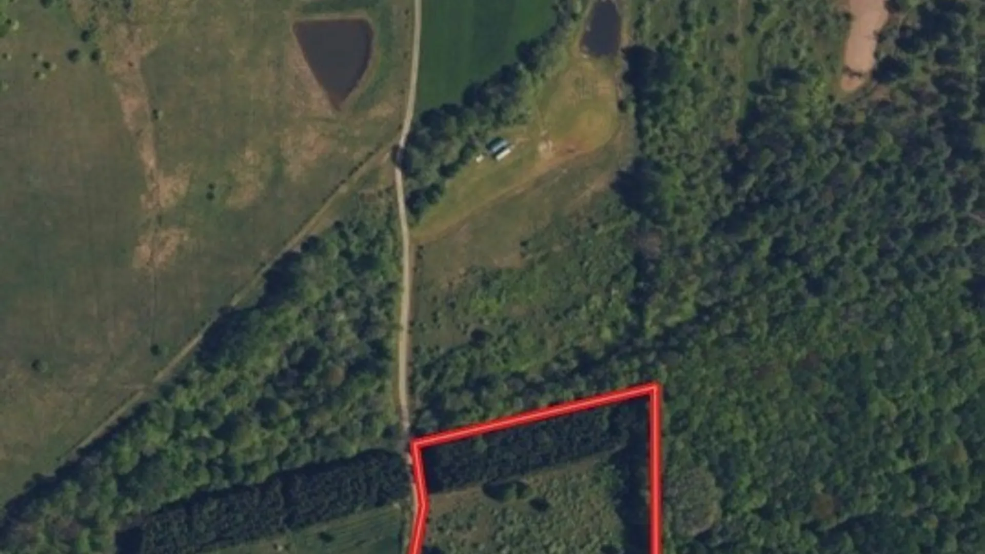 Property at N Branch Road, Friendship, NY 14739 3