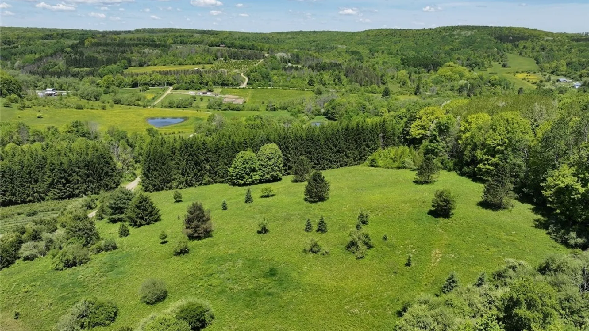 Property at N Branch Road, Friendship, NY 14739 6
