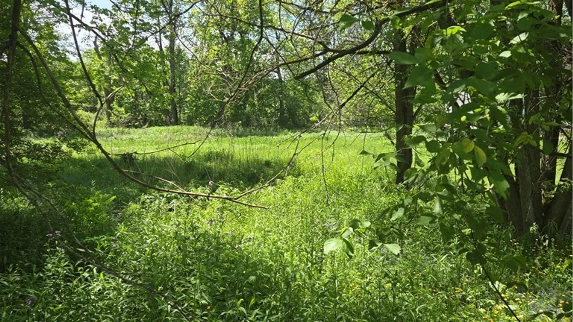 Property at 5575 State Route 28, Newport, NY 13416 6