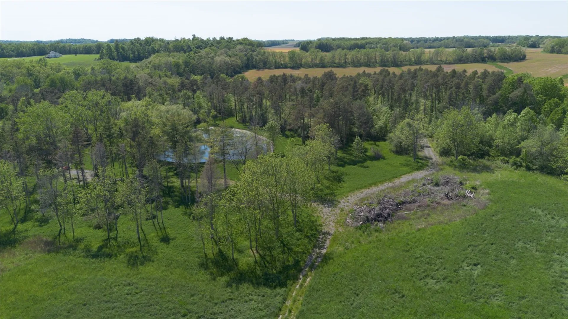 Property at 4600 State Route 89, Varick, NY 13148 10