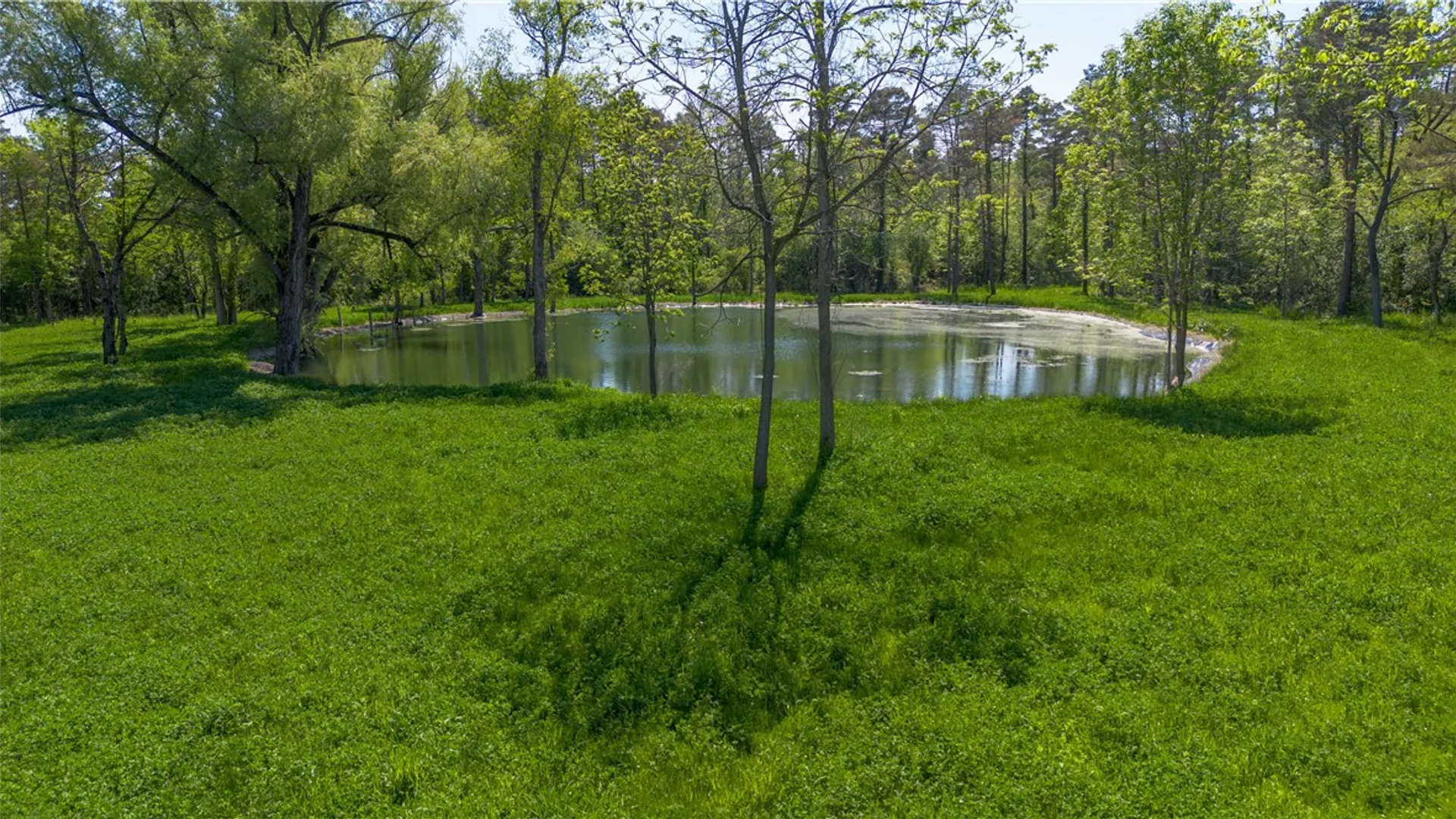 Property at 4600 State Route 89, Varick, NY 13148 12