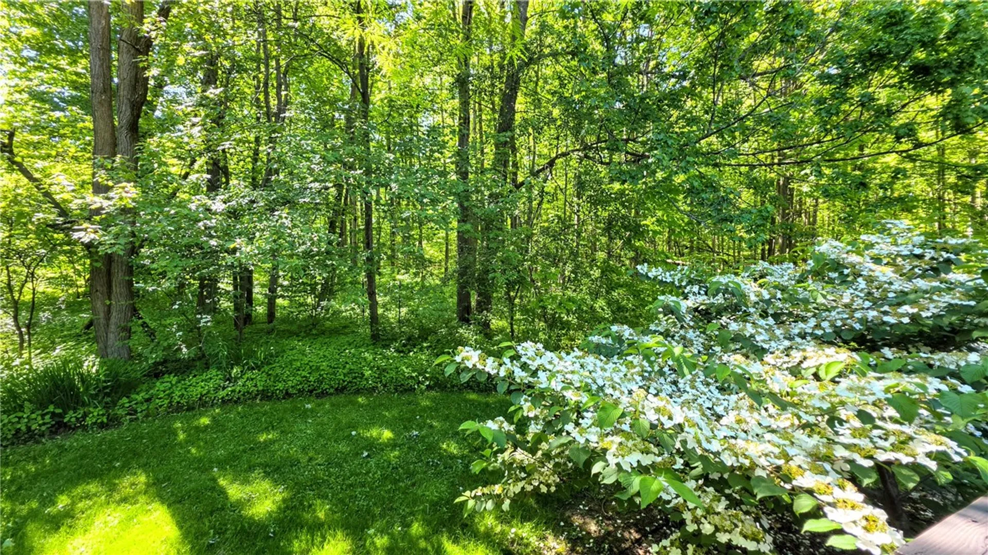 Property at 224 Enfield Center Road, Enfield, NY 14850 49