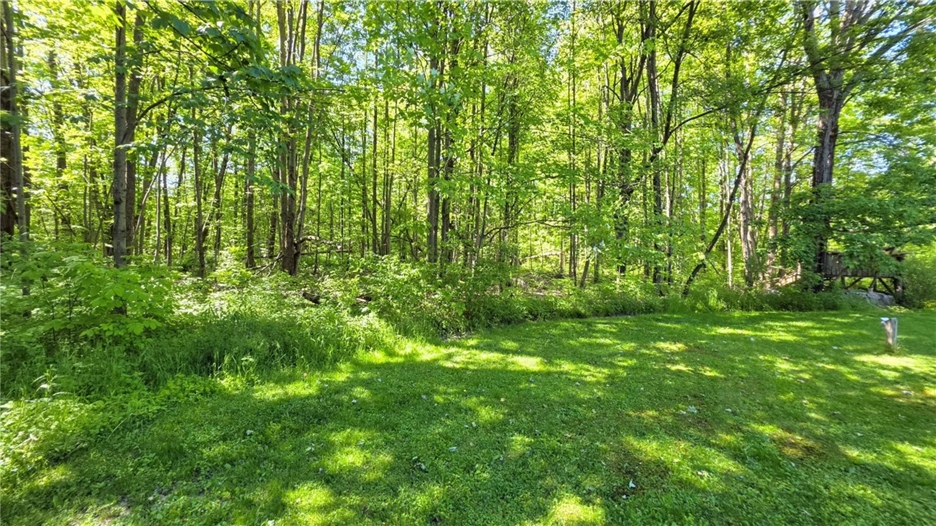 Property at 224 Enfield Center Road, Enfield, NY 14850 50