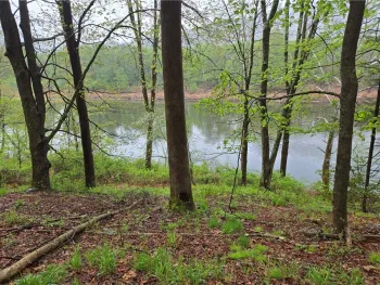 Property at County Road 17, Hancock, NY 13783