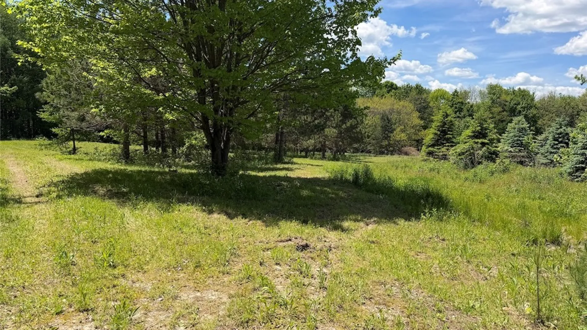 Property at N Branch Road, Friendship, NY 14739 10