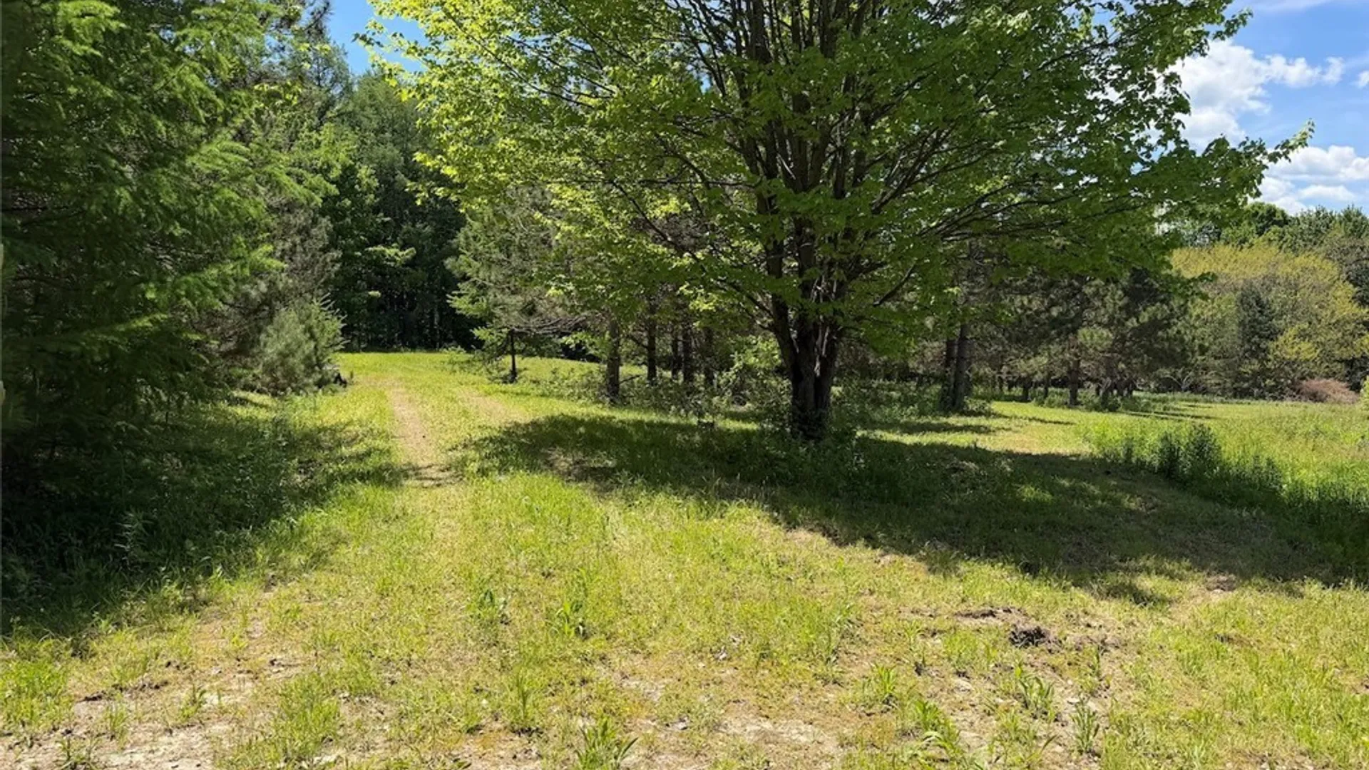Property at N Branch Road, Friendship, NY 14739 11