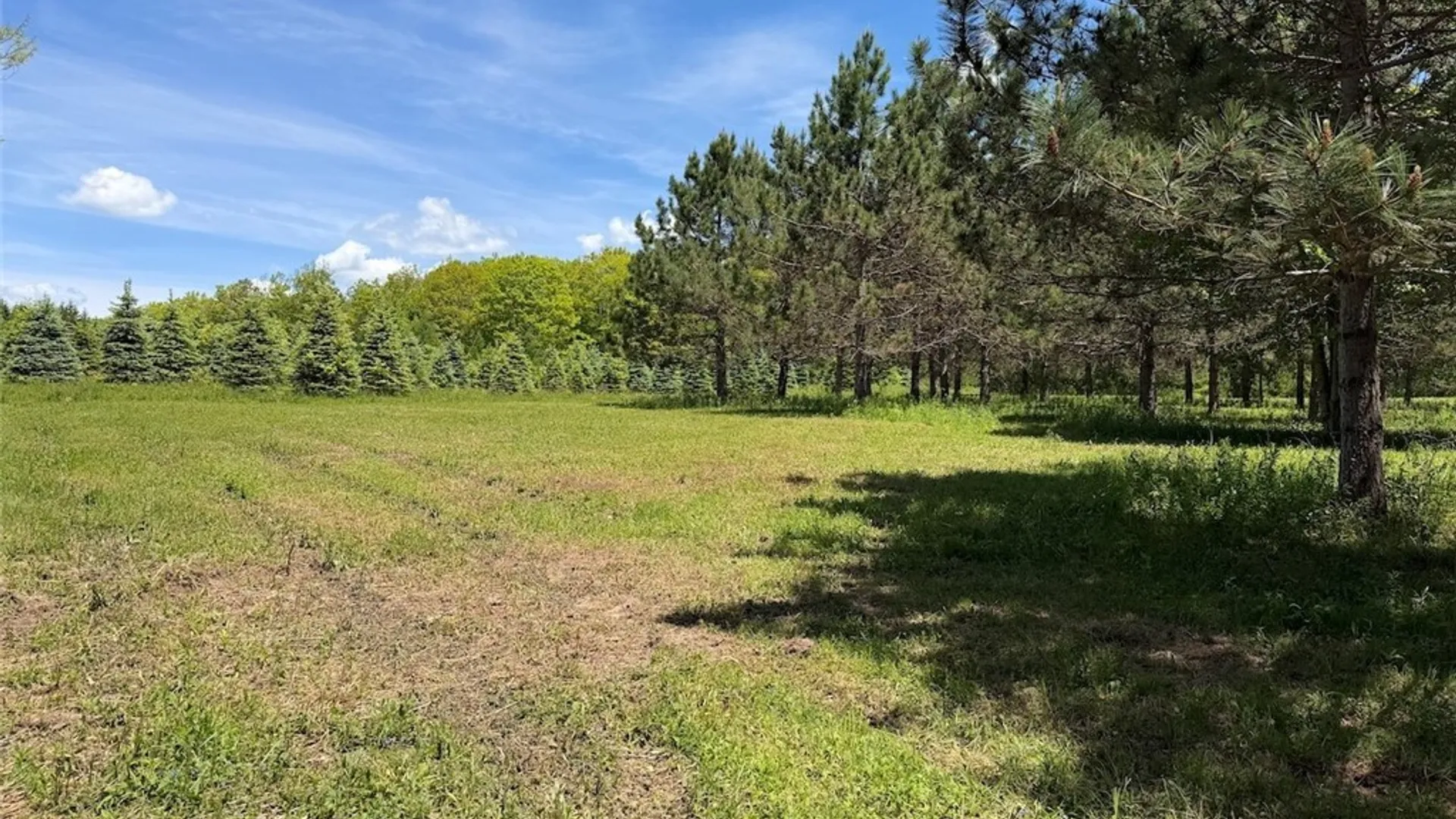 Property at N Branch Road, Friendship, NY 14739 15