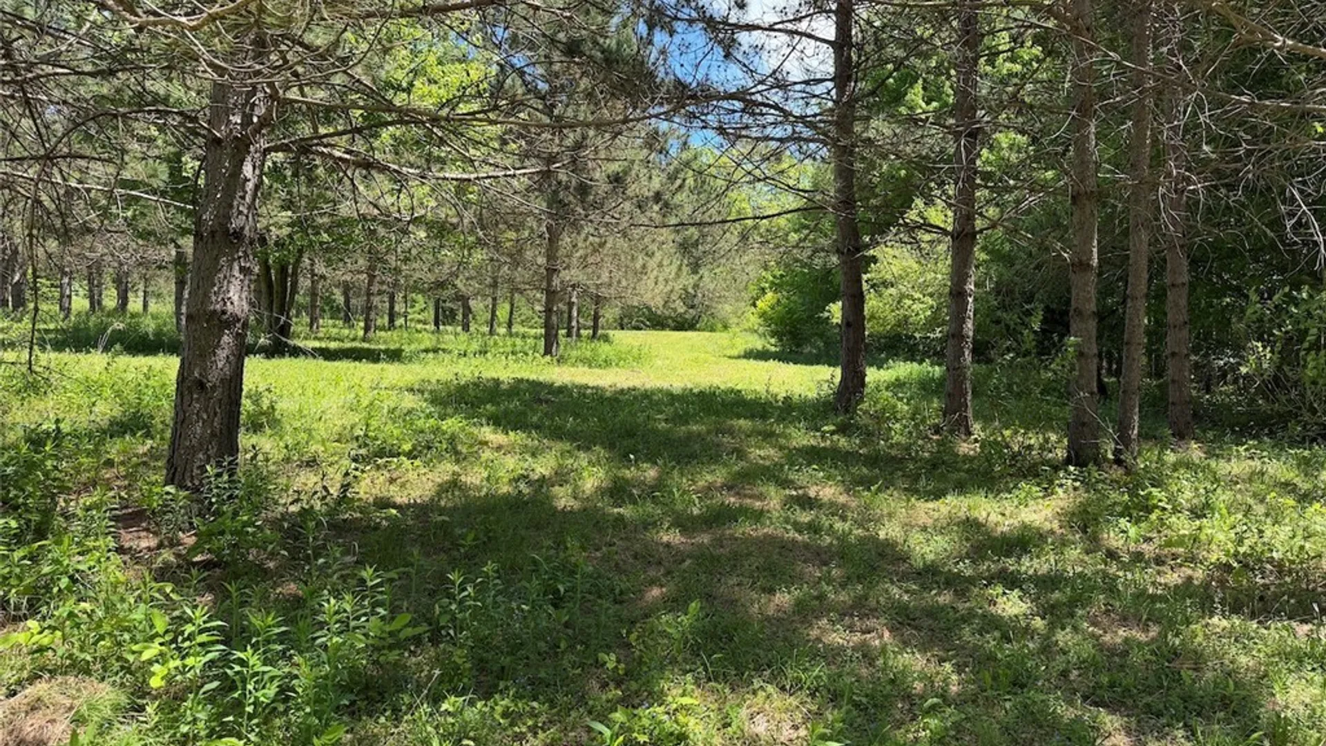 Property at N Branch Road, Friendship, NY 14739 16