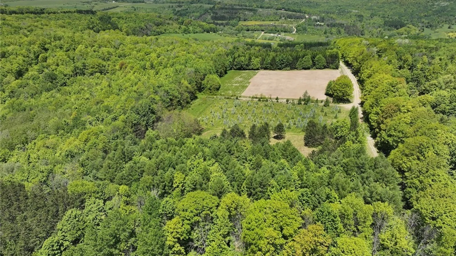 Property at N Branch Road, Friendship, NY 14739 7