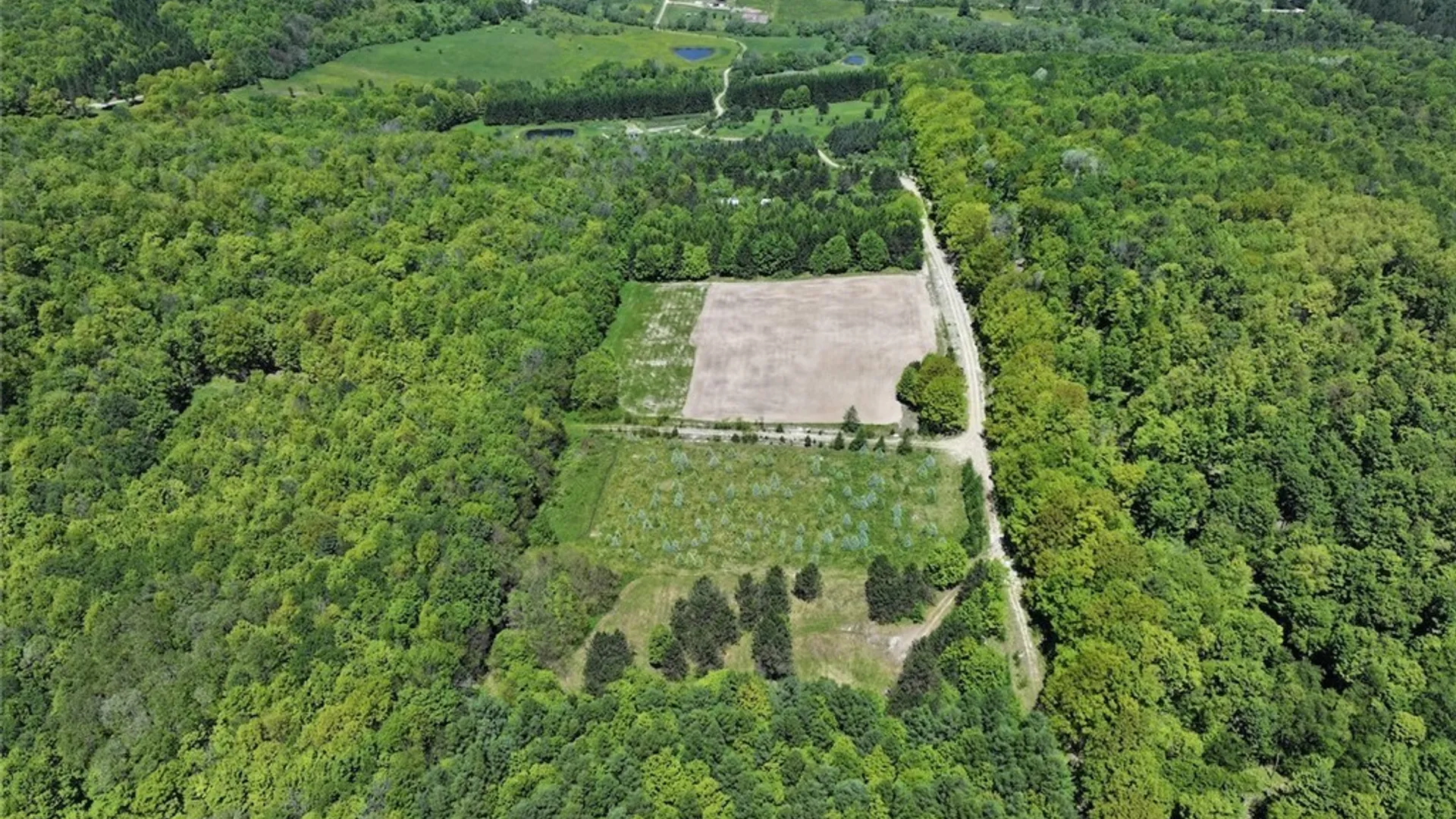 Property at N Branch Road, Friendship, NY 14739 8