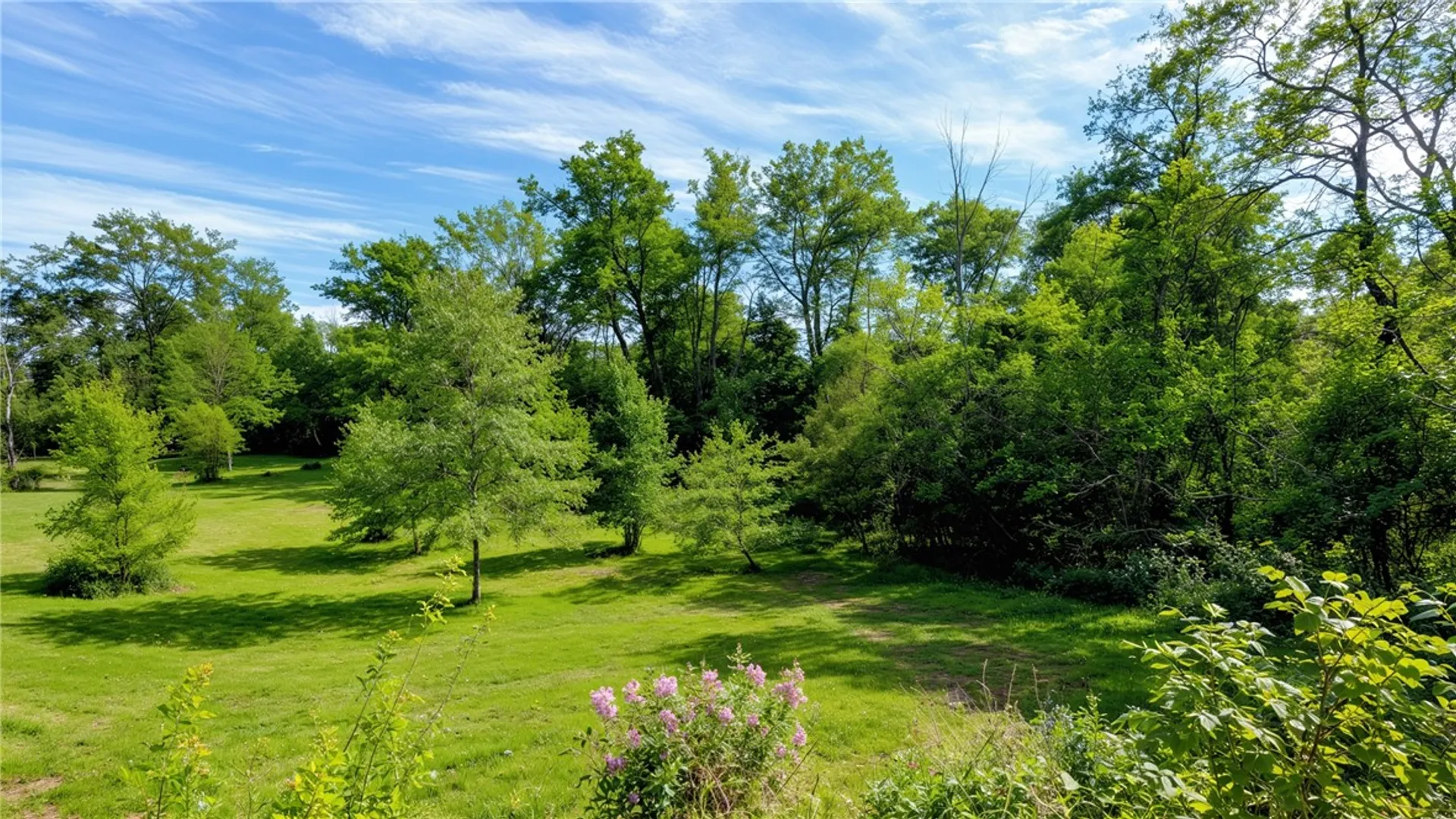 Property at 434 Woodruff Road, Rush, NY 14543 6
