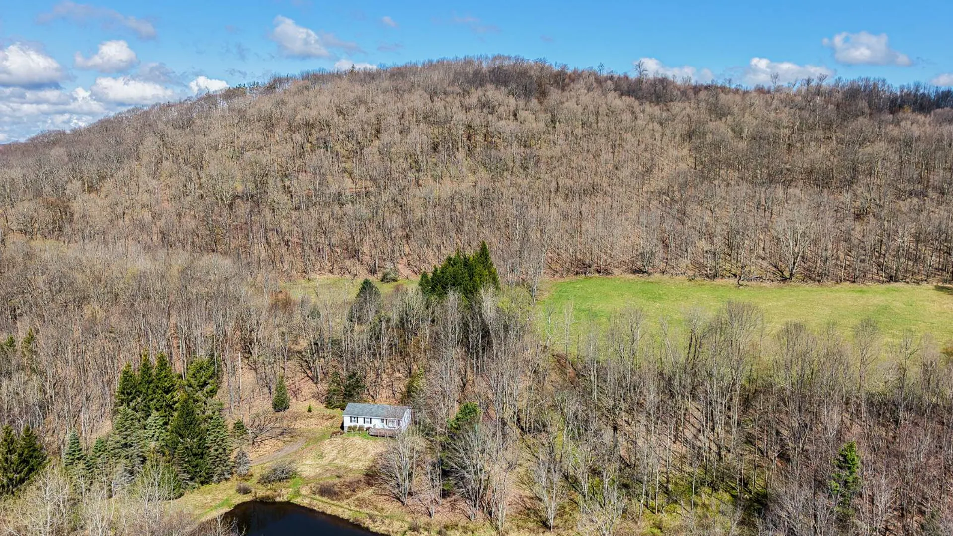 Property at 1027 Odell Lake Road, Harpersfield, NY 12167 11