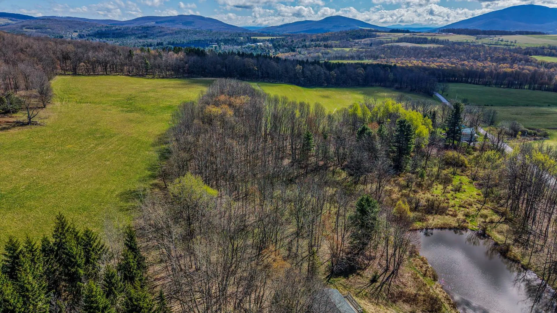 Property at 1027 Odell Lake Road, Harpersfield, NY 12167 13