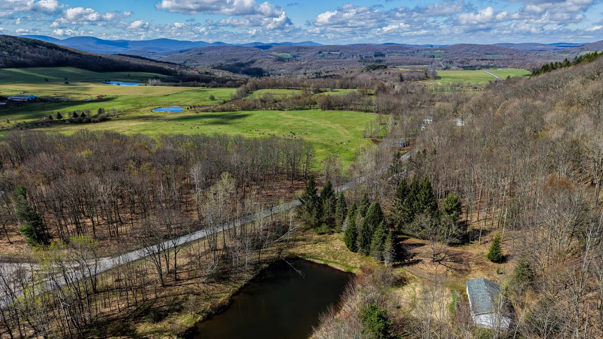 Property at 1027 Odell Lake Road, Harpersfield, NY 12167 6
