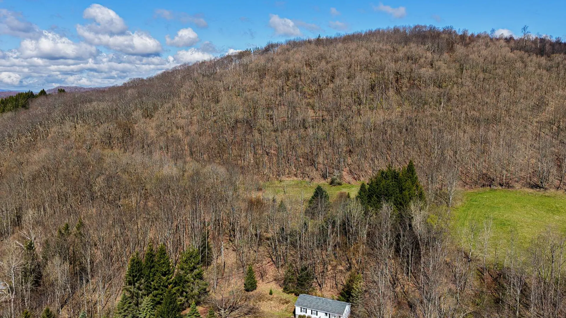 Property at 1027 Odell Lake Road, Harpersfield, NY 12167 9