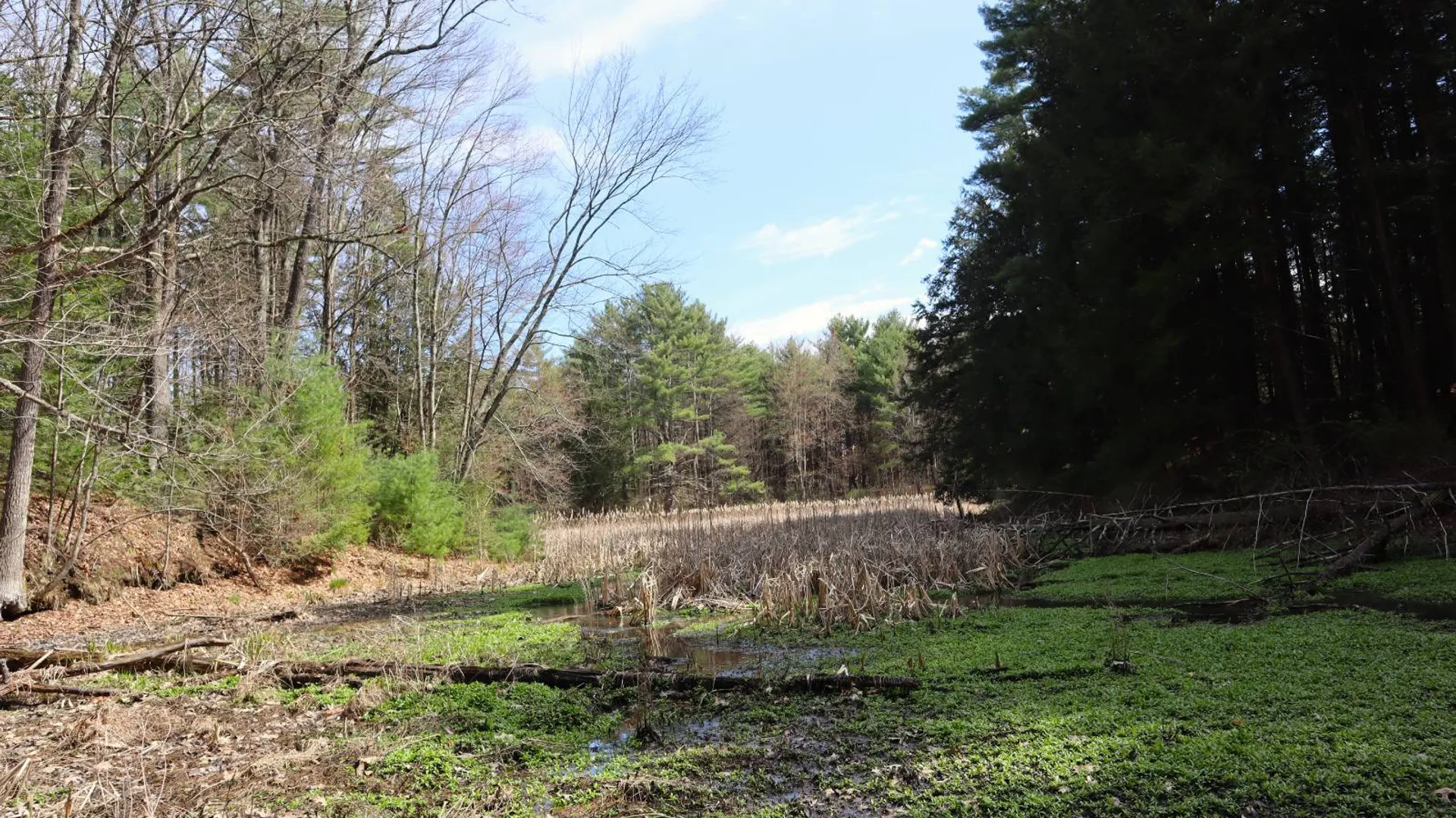 Property at 399 Fortsville Rd, Gansevoort, NY 12831 69