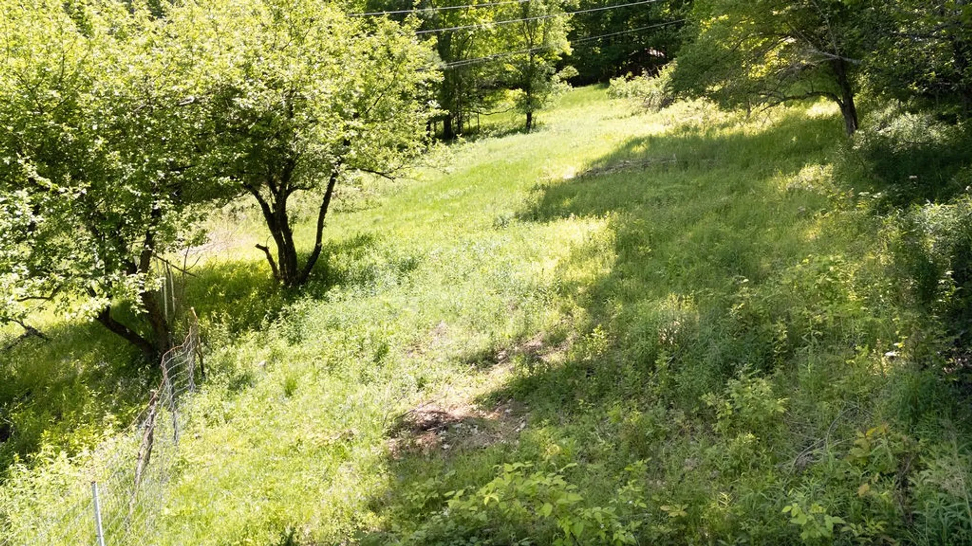 Property at 415 Cape Horn Road, Gilboa, NY 12167 14
