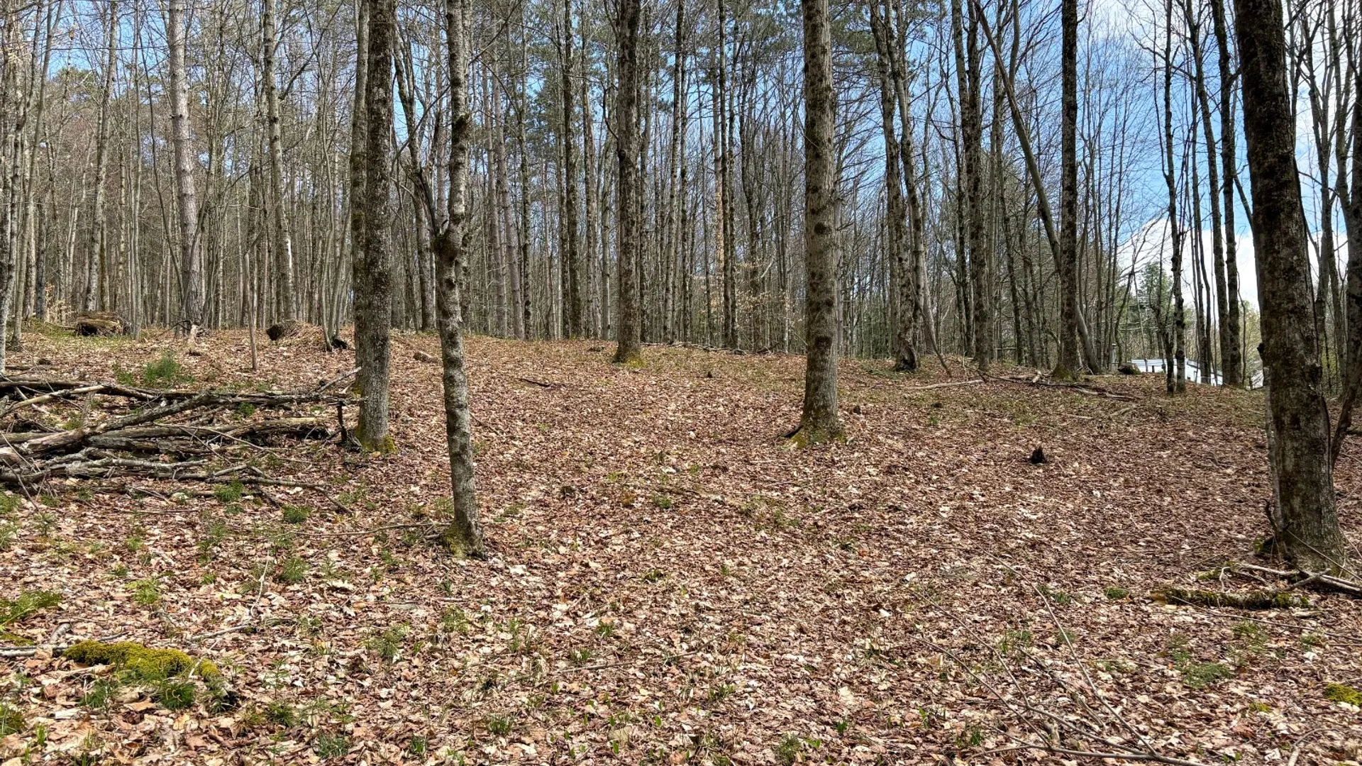 Property at 24 Walker Rd, Nineveh, NY 13813 10