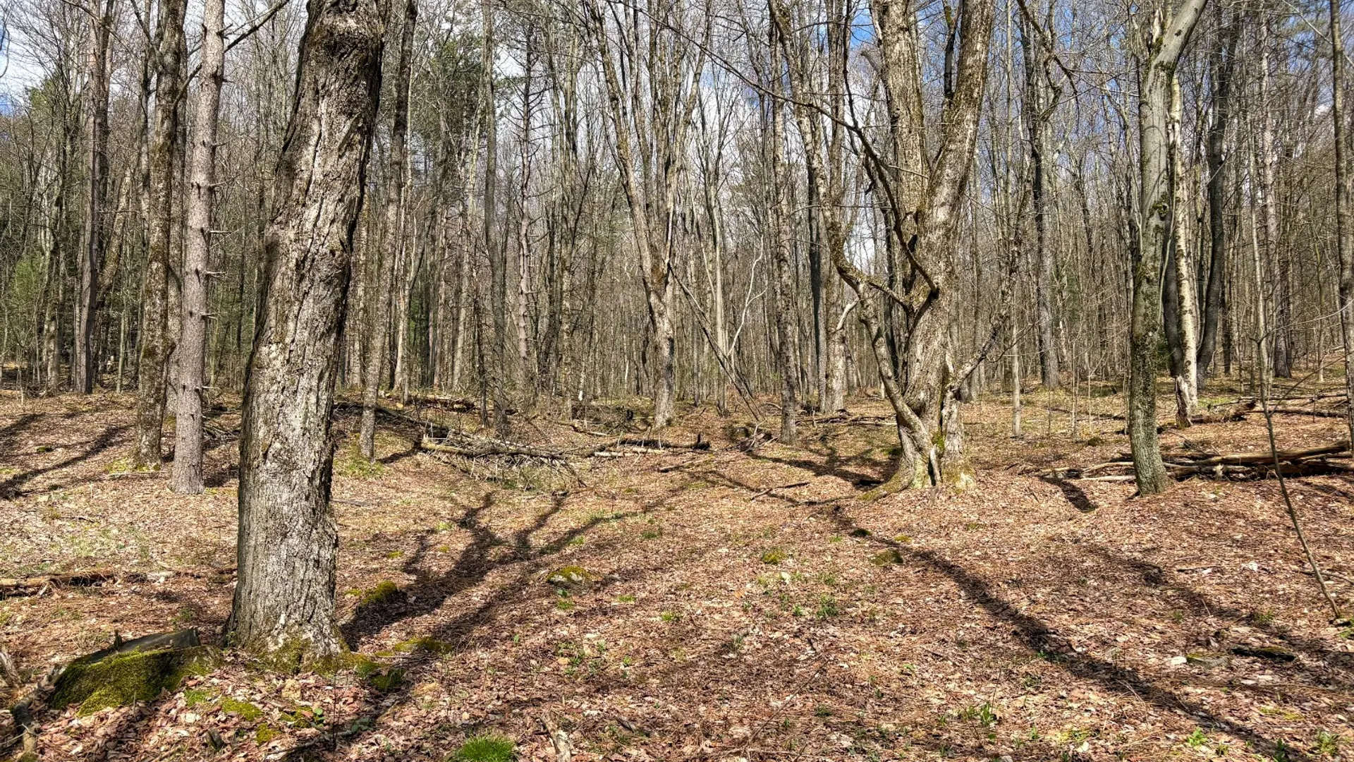 Property at 24 Walker Rd, Nineveh, NY 13813 11