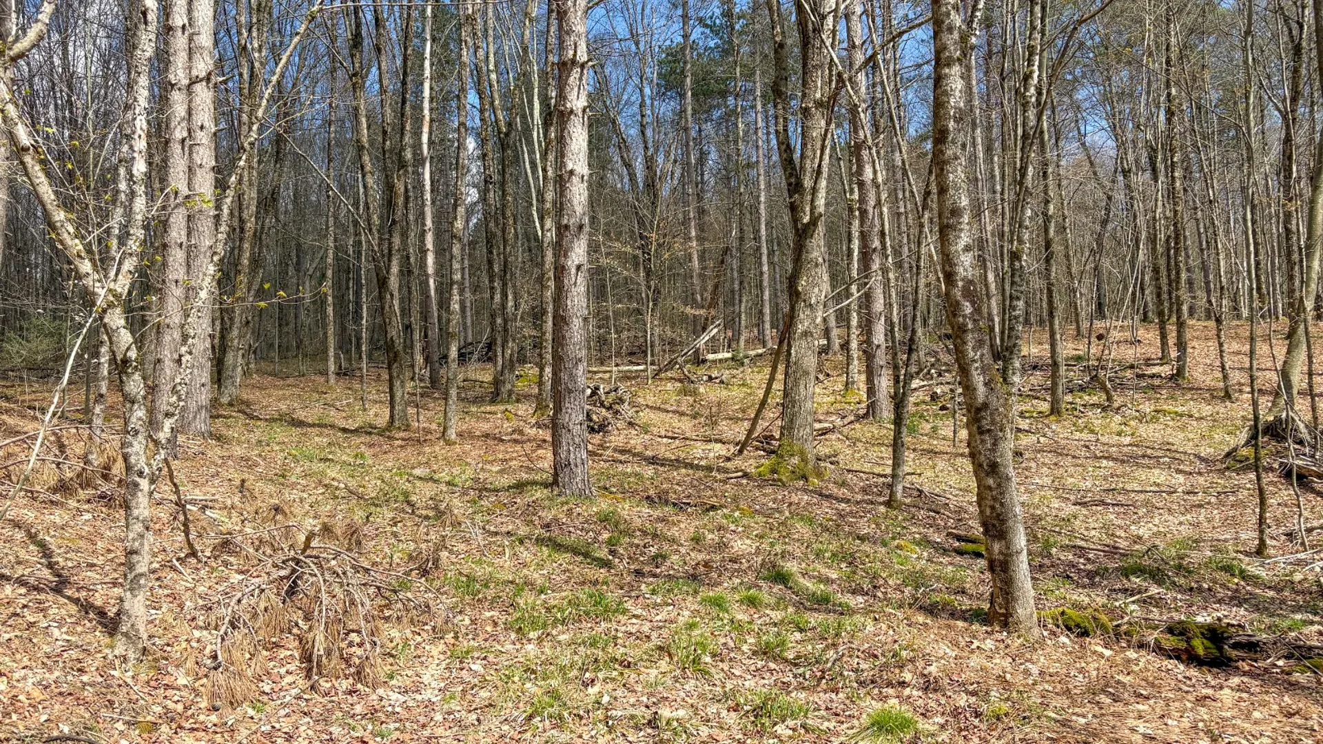 Property at 24 Walker Rd, Nineveh, NY 13813 13