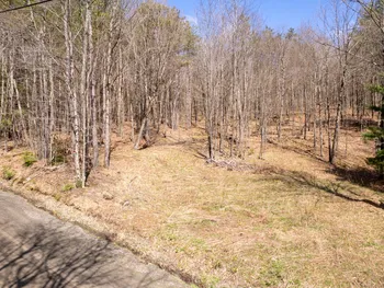 Property at 24 Walker Rd, Nineveh, NY 13813