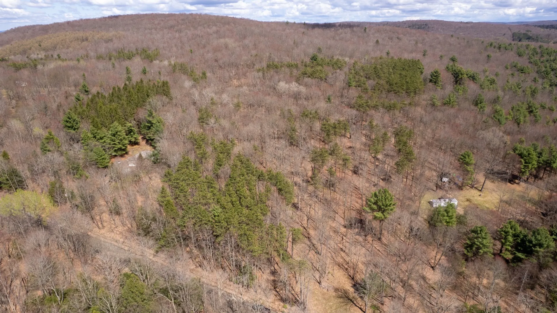 Property at 24 Walker Rd, Nineveh, NY 13813 3