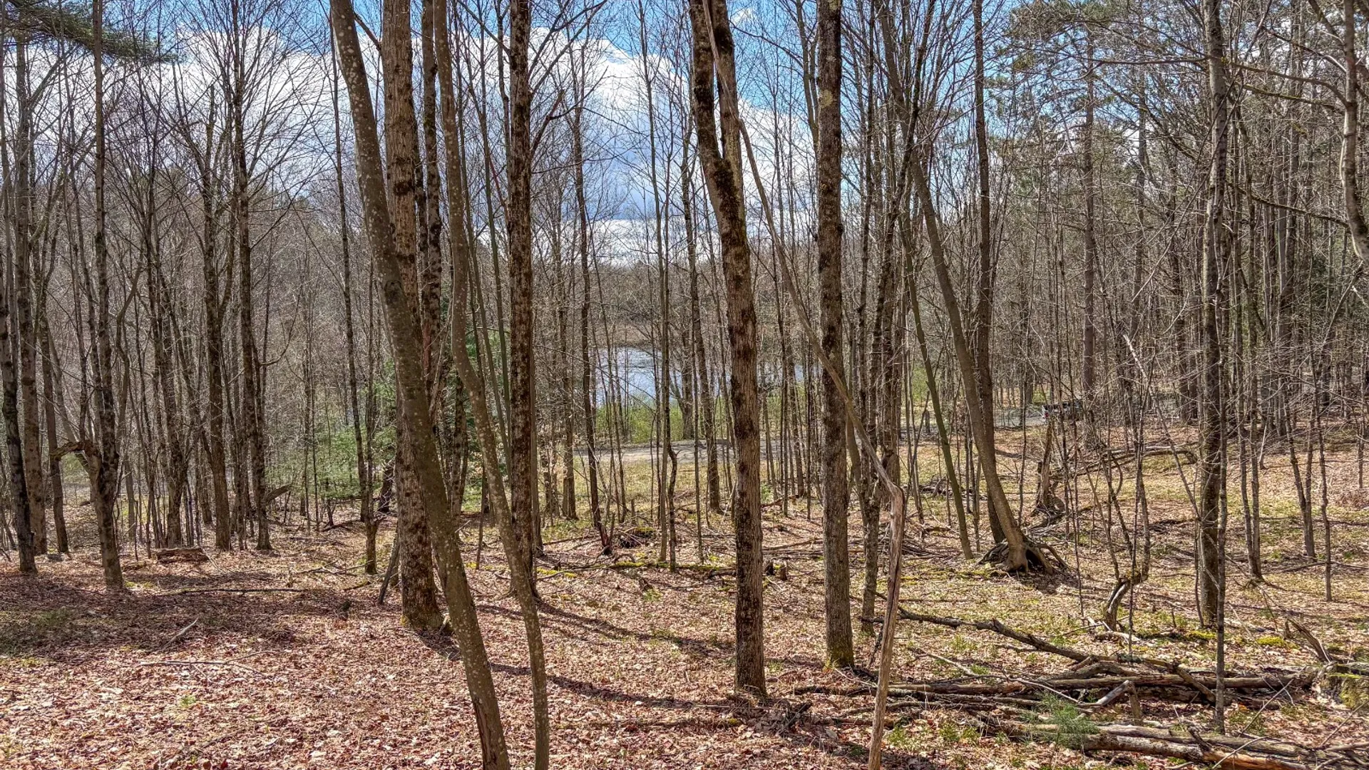 Property at 24 Walker Rd, Nineveh, NY 13813 4