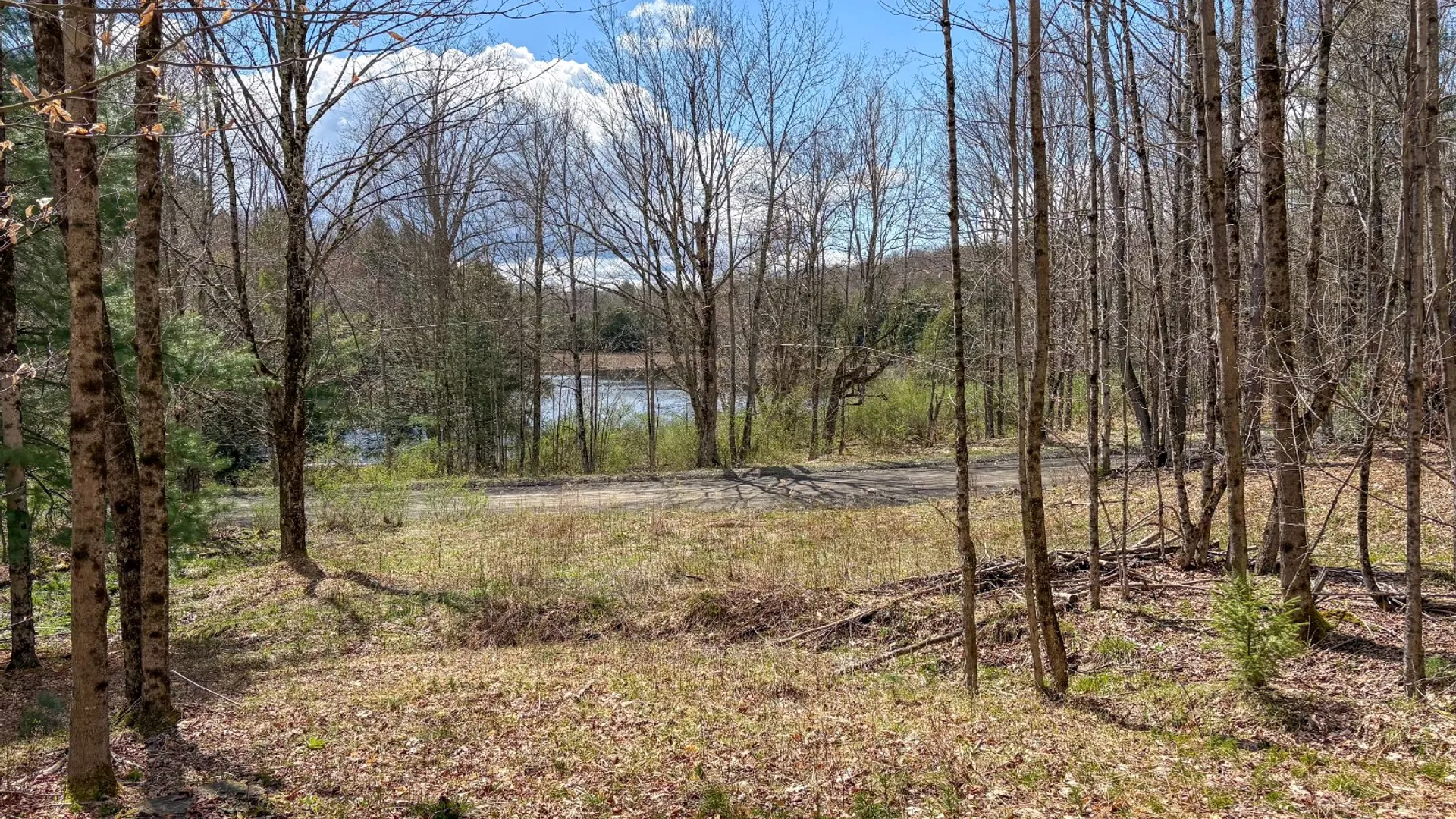 Property at 24 Walker Rd, Nineveh, NY 13813 5