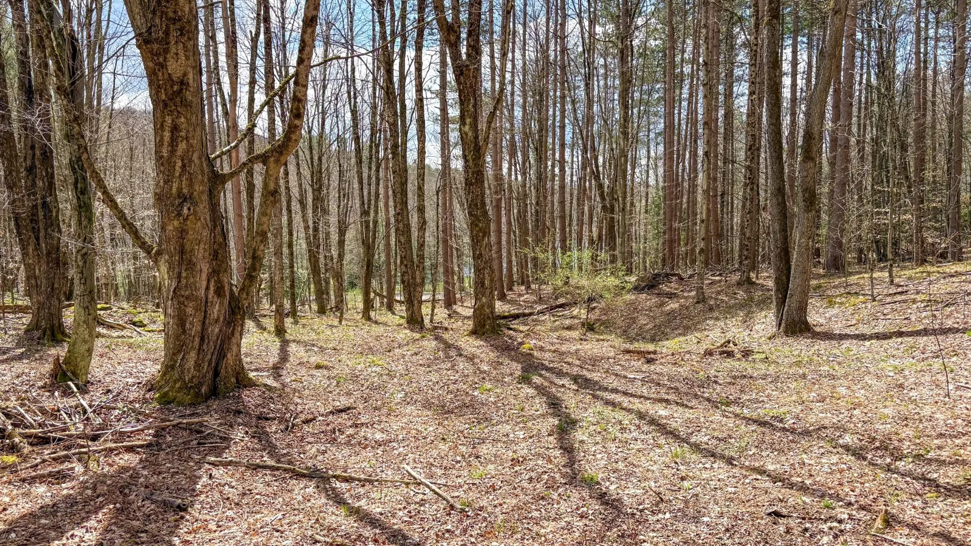 Property at 24 Walker Rd, Nineveh, NY 13813 6