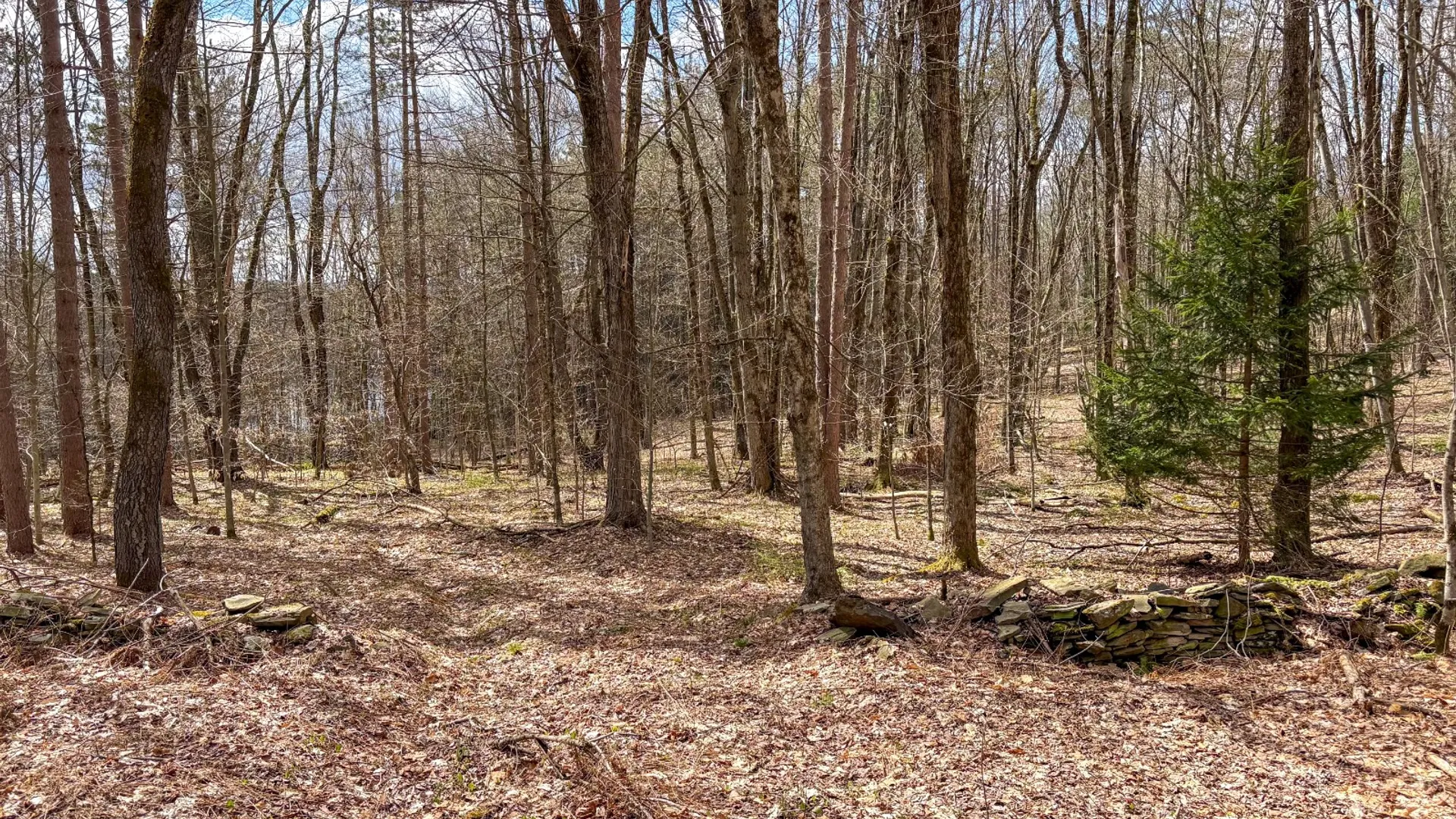 Property at 24 Walker Rd, Nineveh, NY 13813 7