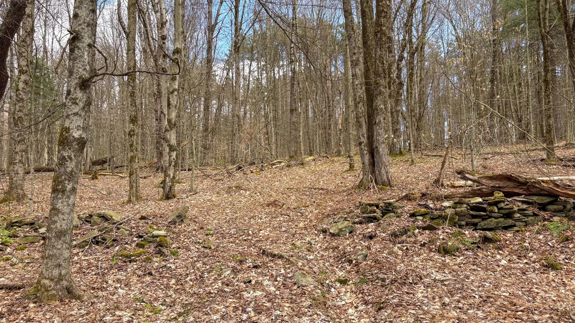 Property at 24 Walker Rd, Nineveh, NY 13813 8