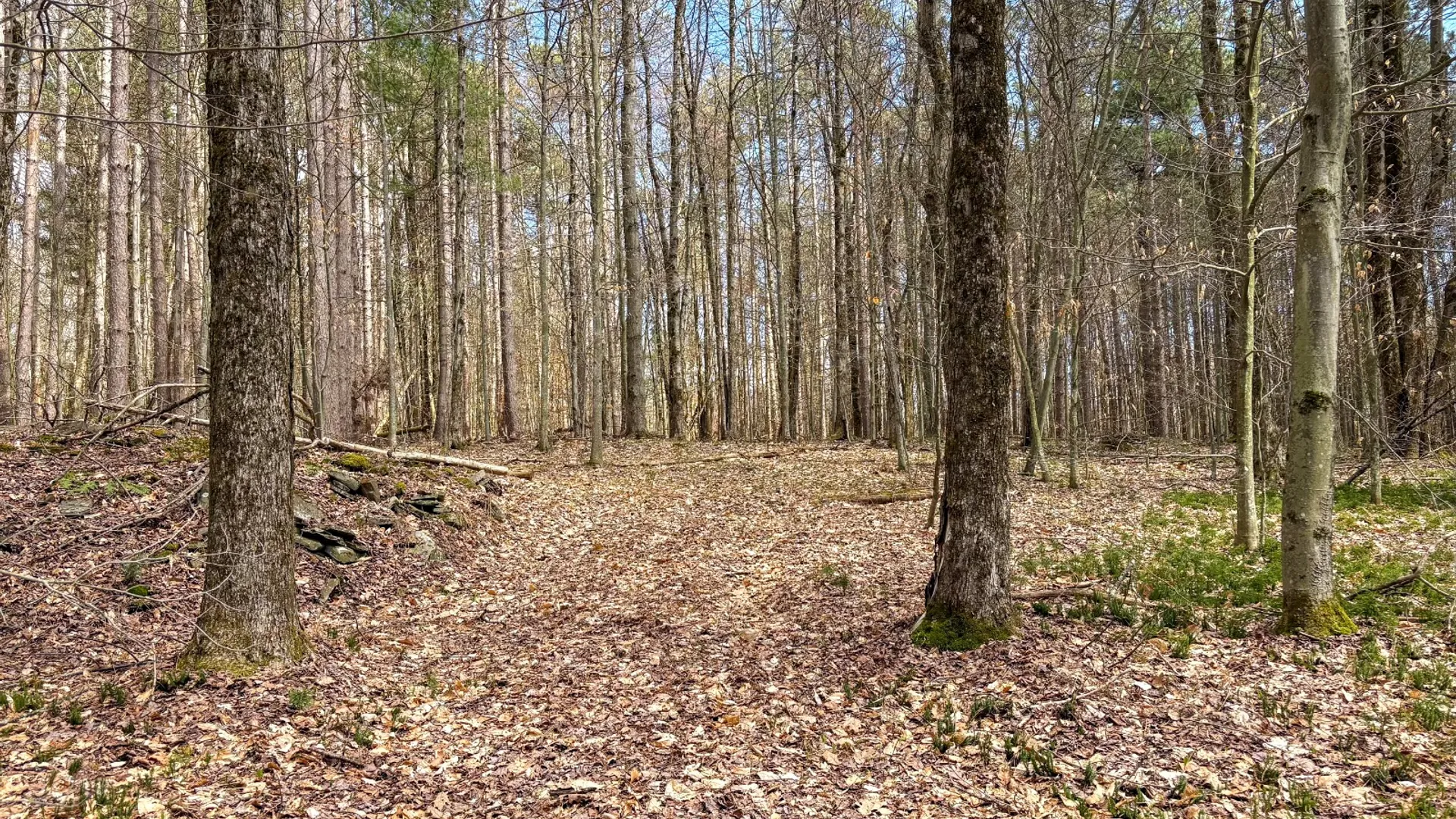 Property at 24 Walker Rd, Nineveh, NY 13813 9