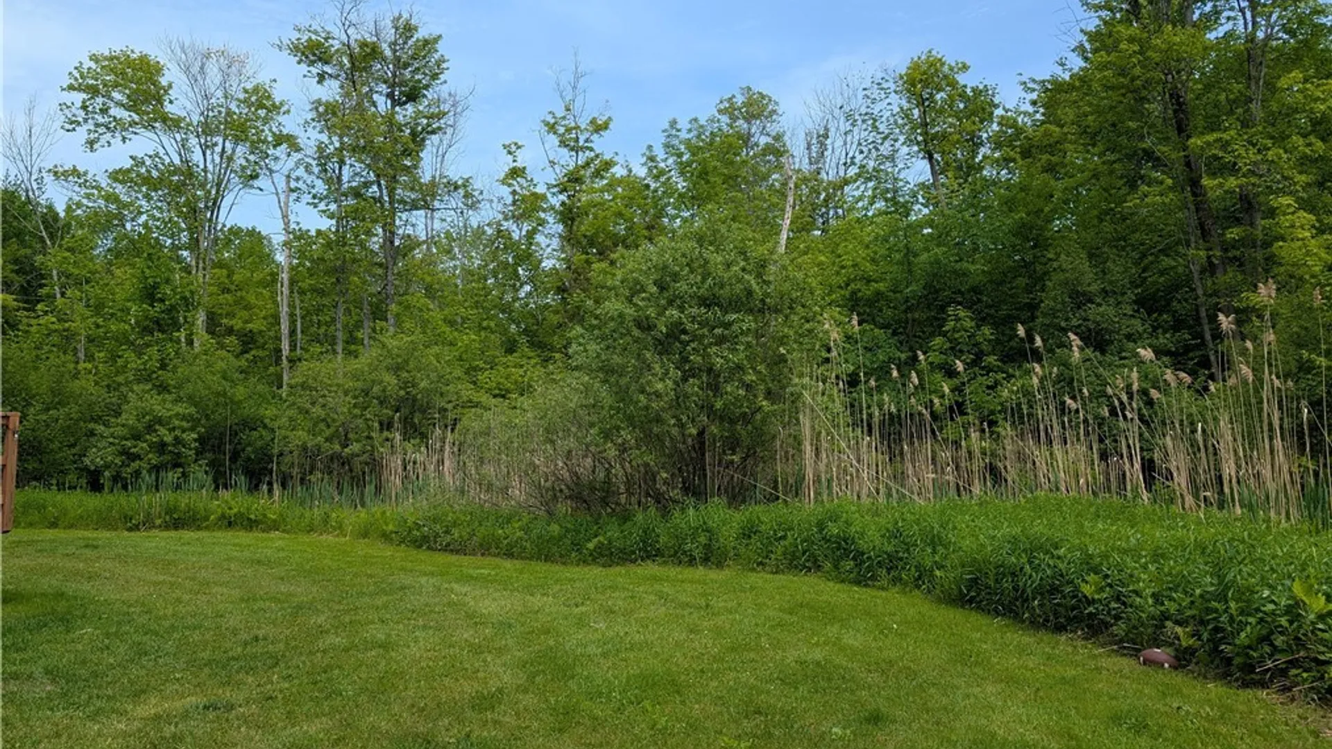 Property at 55 Castor Road, Albion, NY 13142 14