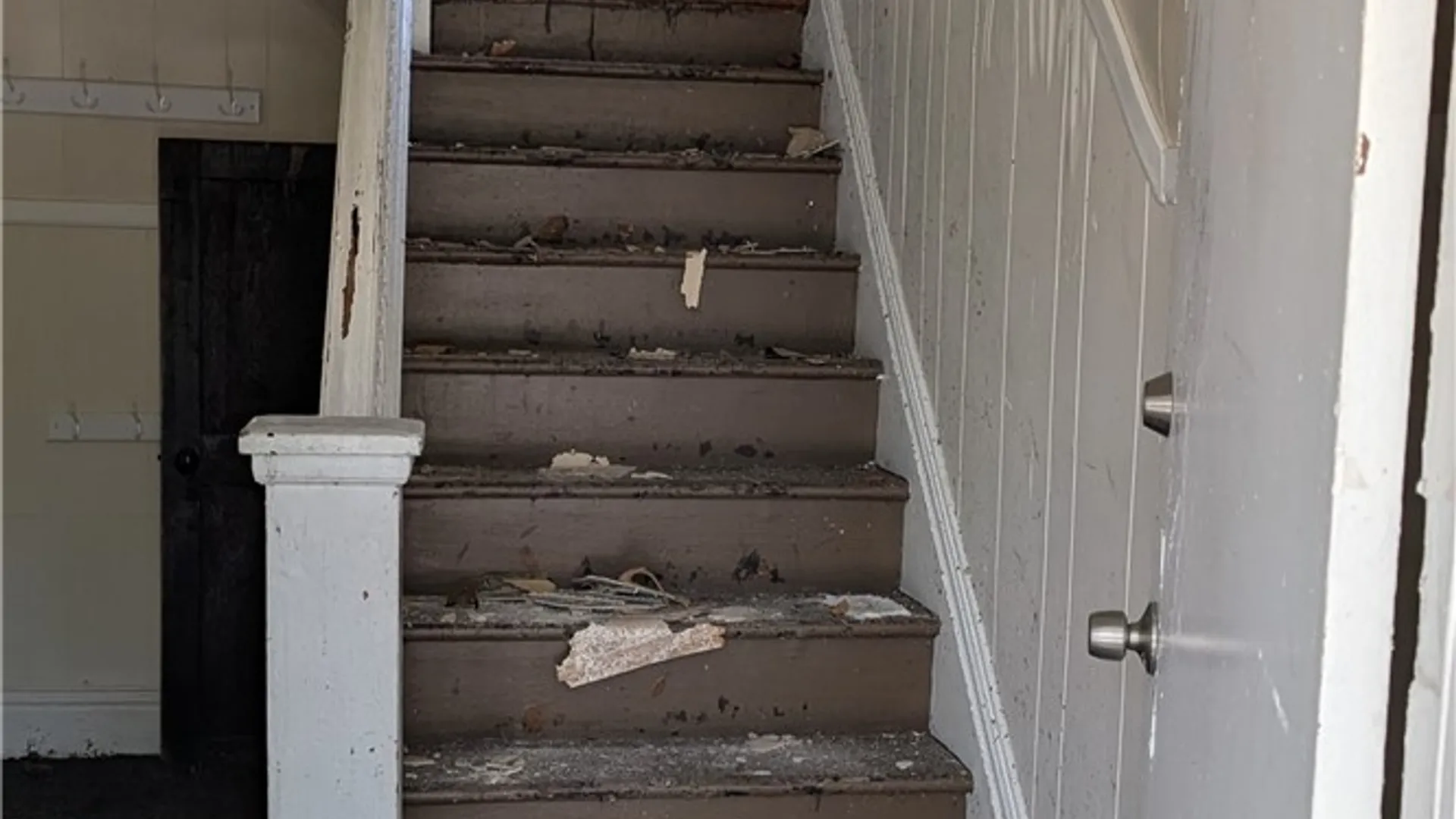 Property at 19 Arkansas Street, Buffalo, NY 14213 14