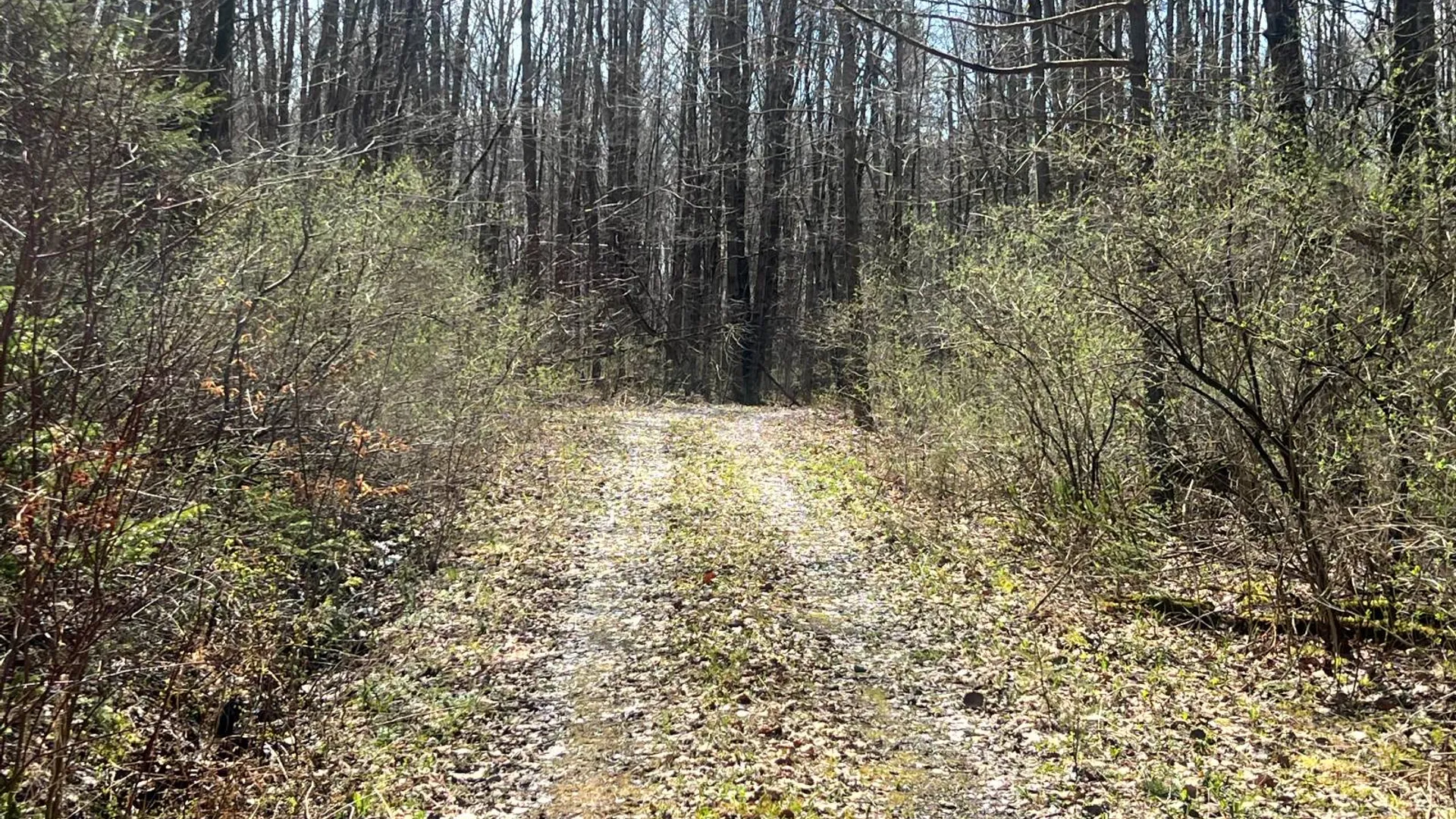 Property at 597 Bliven-Coye Hill Rd, Smyrna, NY 13464 11