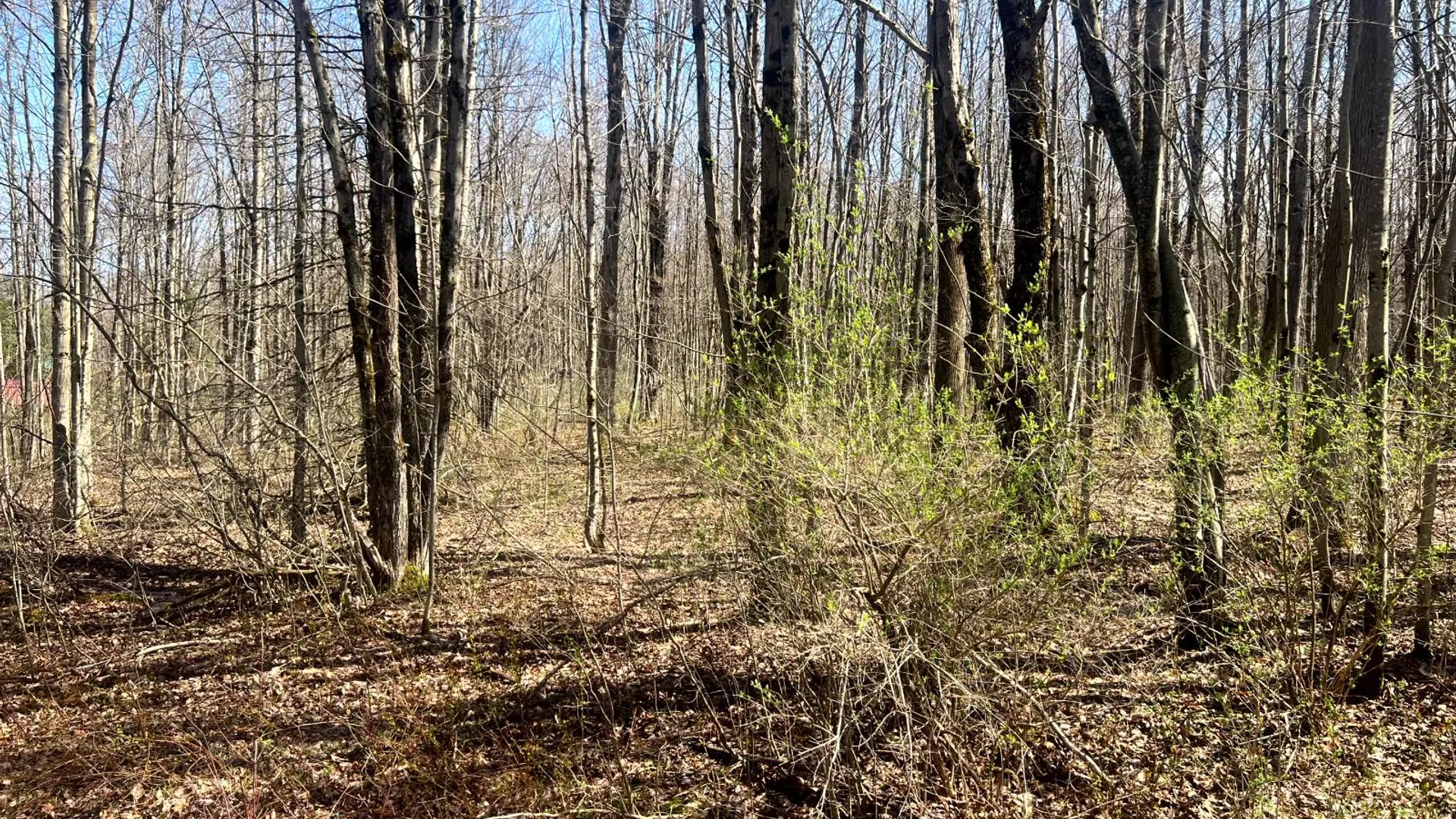 Property at 597 Bliven-Coye Hill Rd, Smyrna, NY 13464 16