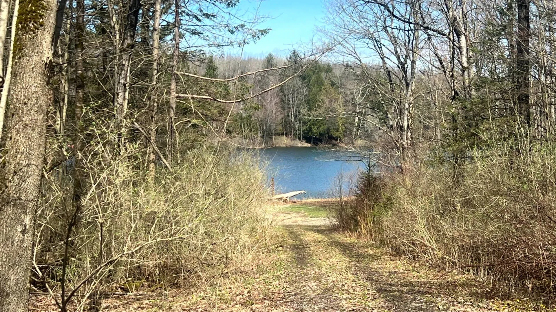 Property at 597 Bliven-Coye Hill Rd, Smyrna, NY 13464 17