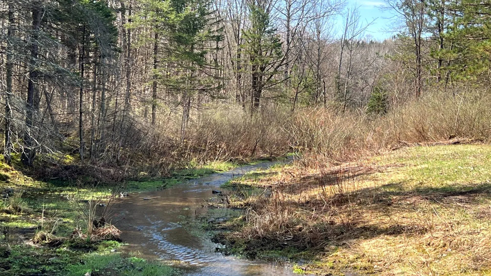 Property at 597 Bliven-Coye Hill Rd, Smyrna, NY 13464 2