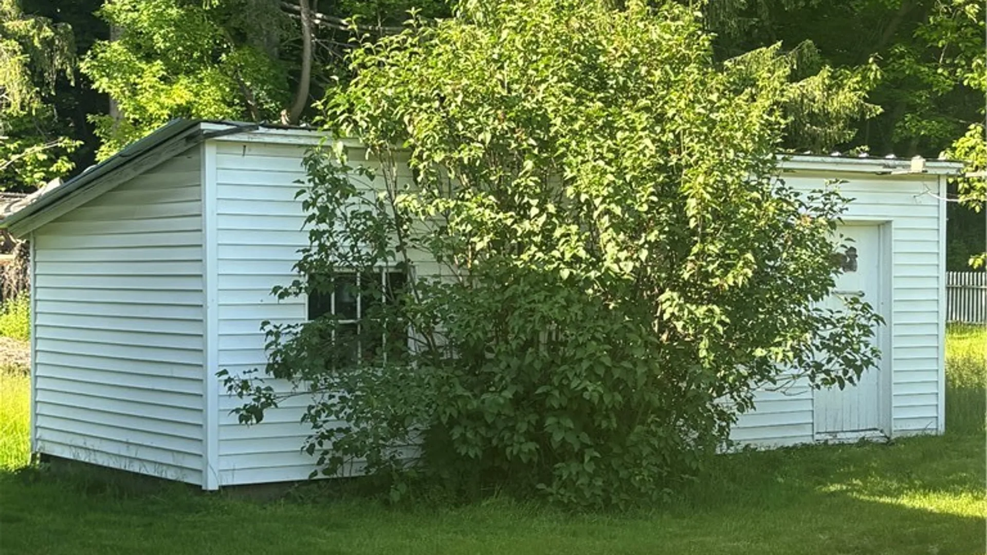 Property at 12358 Big Tree Road, Wales, NY 14169 20