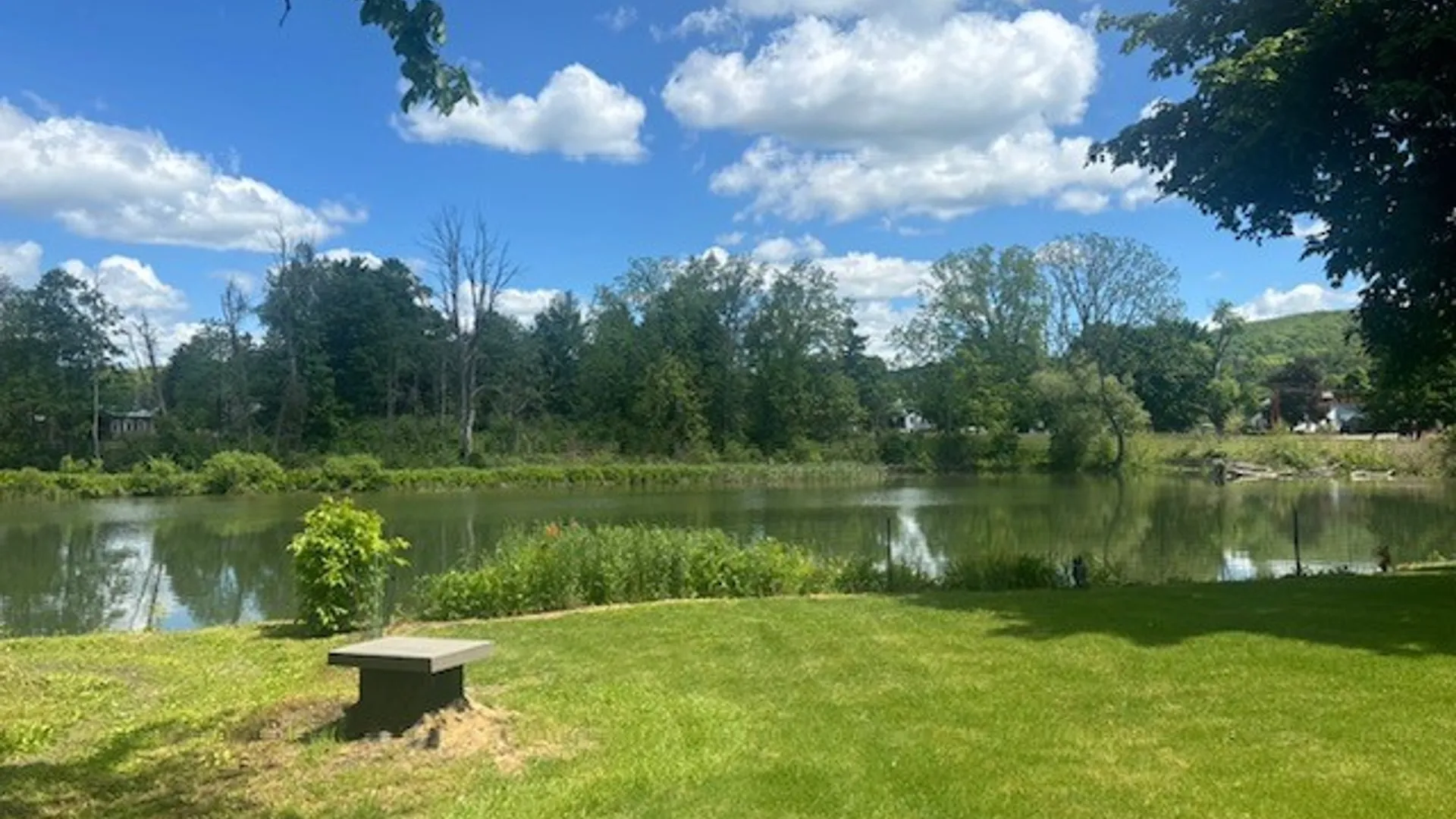 Property at 8 Mccarty Street, Candor, NY 13743 14