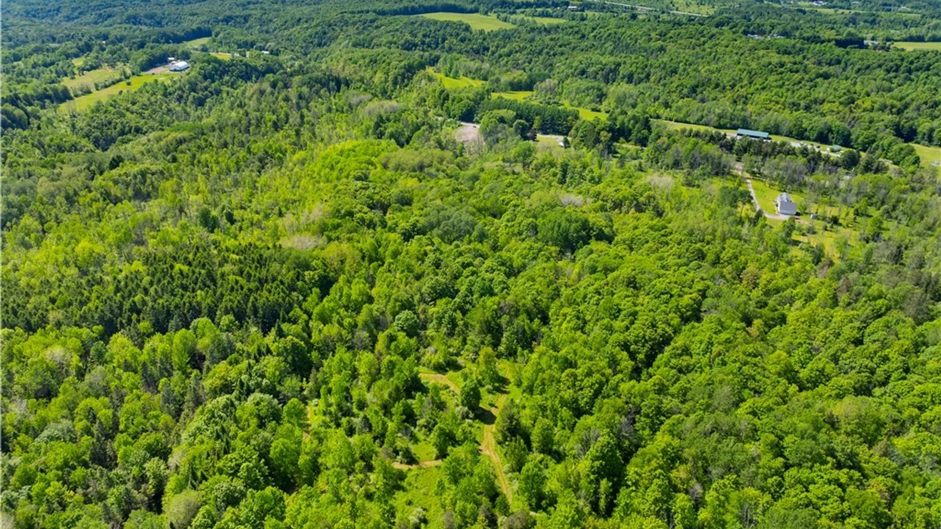 Property at 6256 Walker Road, Deerfield, NY 13502 11