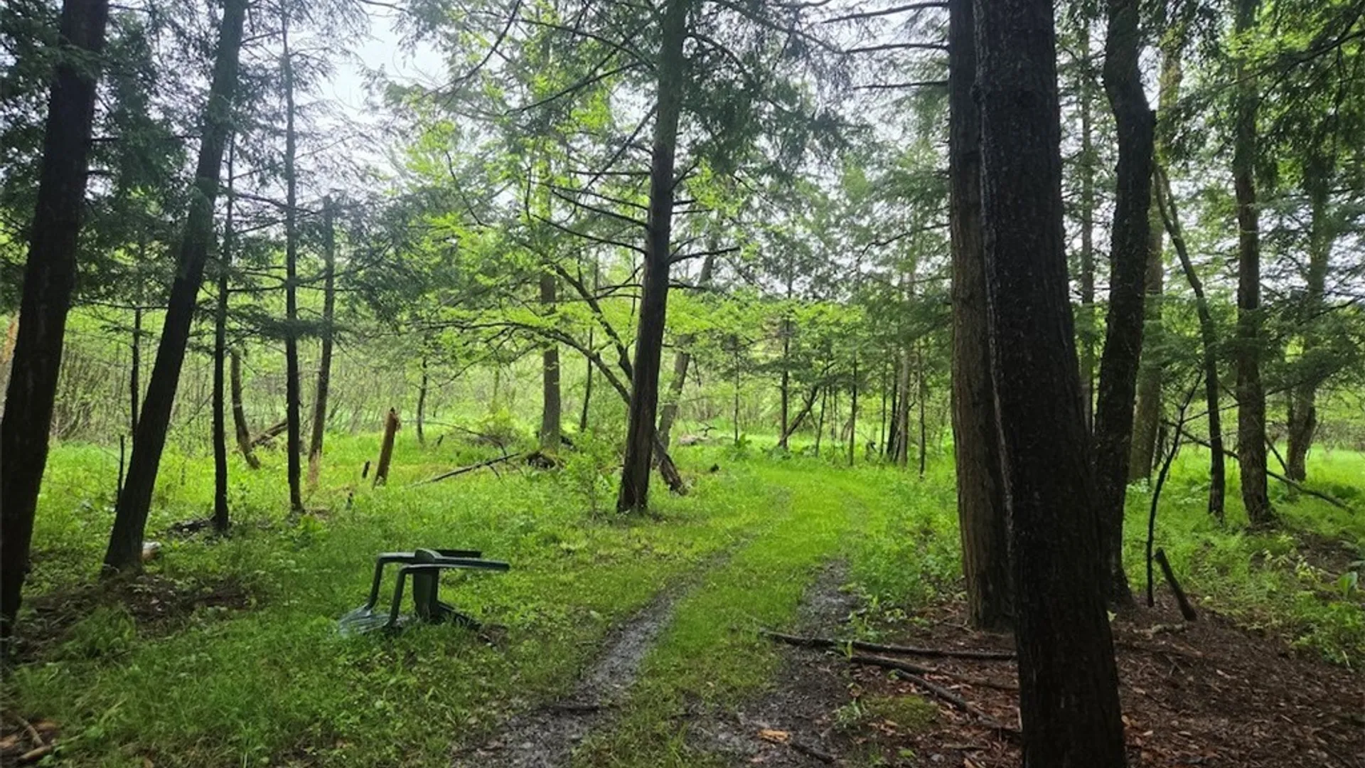 Property at Hermitage Road, Wethersfield, NY 14569 22