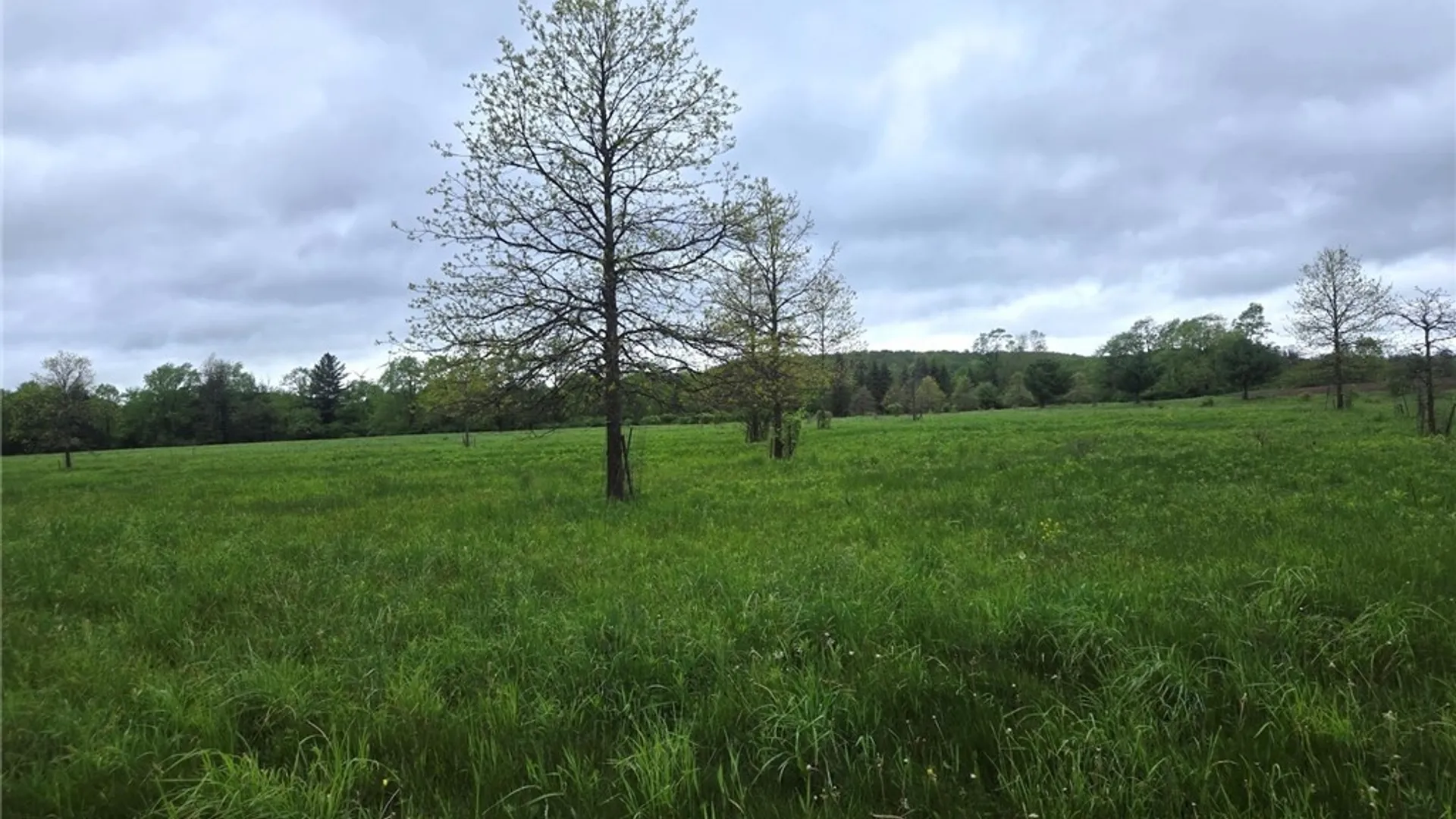 Property at Hermitage Road, Wethersfield, NY 14569 34