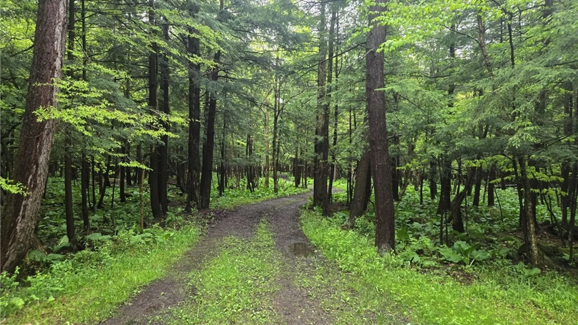 Property at Hermitage Road, Wethersfield, NY 14569 8
