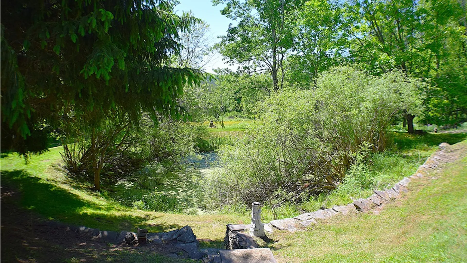 Property at 903 County Highway 3, Unadilla, NY 13849 8