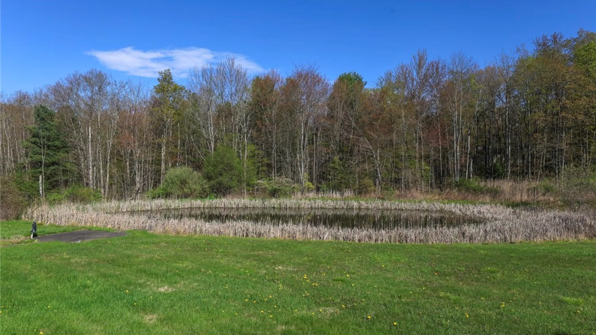 Property at 1053 Chambers Road, Catlin, NY 14845 49