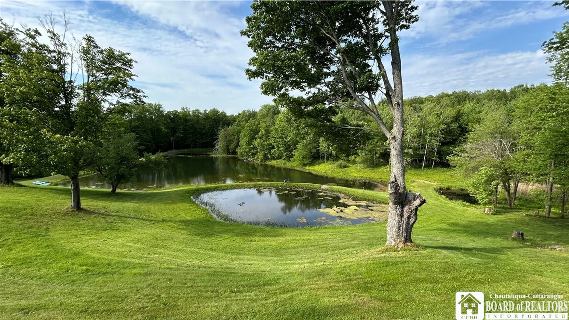 Property at 1994 Shaw Road, Arkwright, NY 14062 12